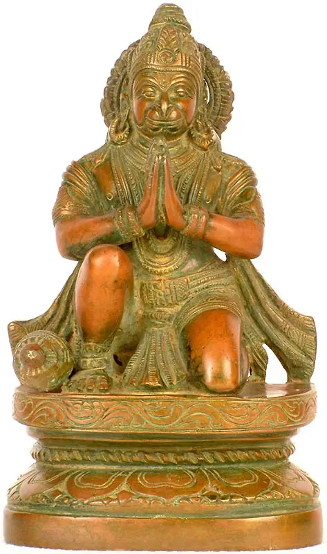 The Ideal Devotee