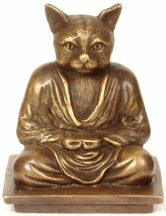 Yogi Cat