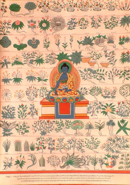 Tibetan Medicinal Painting