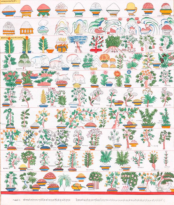 Thangka of Medicines and Herbs Inscribed in Tibetan
