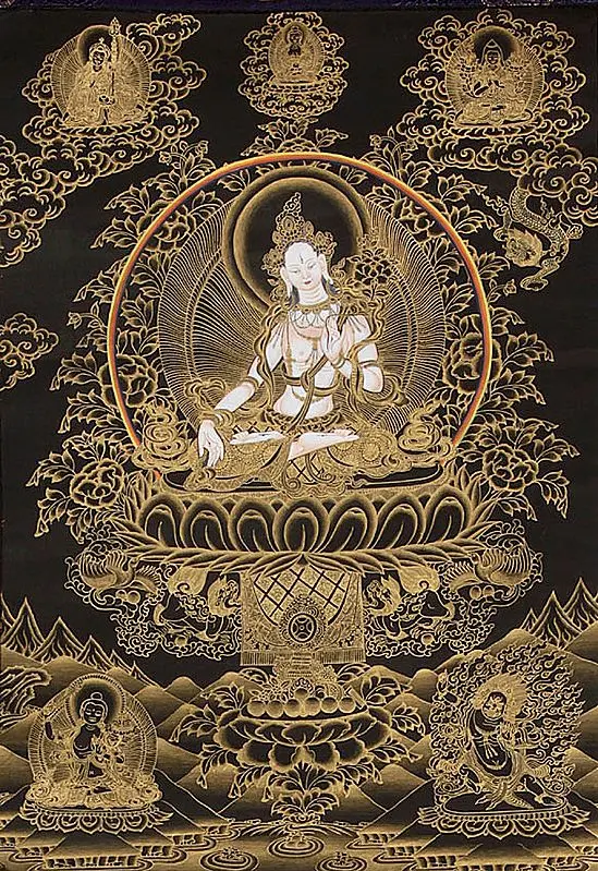 The Kinetic Power of Compassion