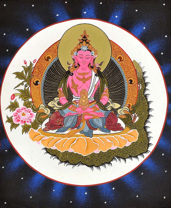 Tibetan Buddhist Deity Amitabha as Amitayus Buddha