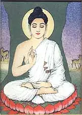 Under the Bodhi Tree