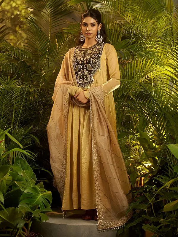 Beige Embroidered Organza Salwar Kameez with Dupatta