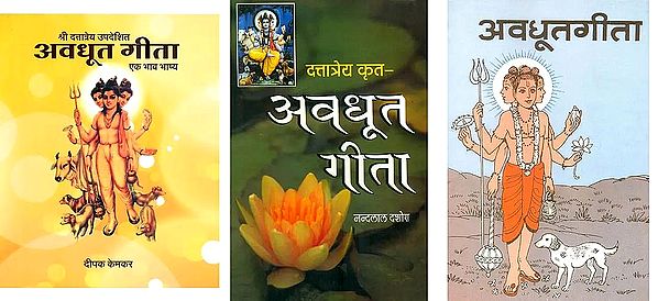 अवधूत गीता ( Set of 3 Books )