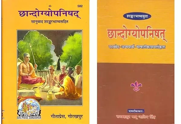 छान्दोग्योपनिषद् Study Kit in Hindi (Set of 2 Books)
