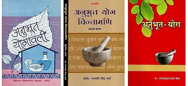 अनुभूत योग (4 Books on Anubhut Yoga in Hindi)