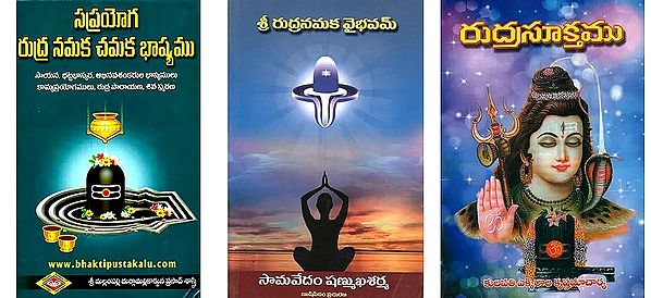 3 books on Rudram in Telugu