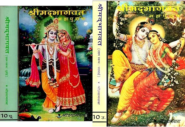 श्रीमद्भागवत महापुराण ( दशम स्कन्ध पूर्वार्द्ध और उत्तरार्द्ध एक साथ ) - Shrimad Bhagavata Purana (Complete Tenth Canto in 4 Volumes)
