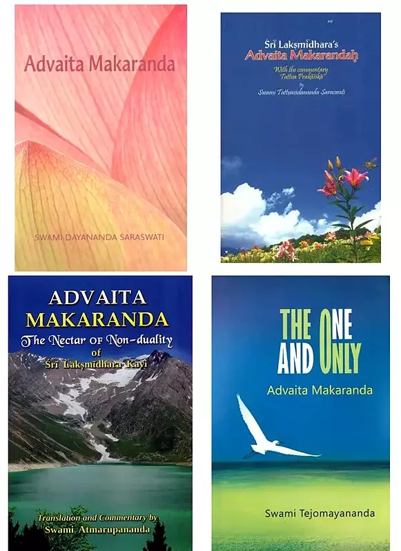 Studies in Advaita Makaranda (Set of 4 Books)