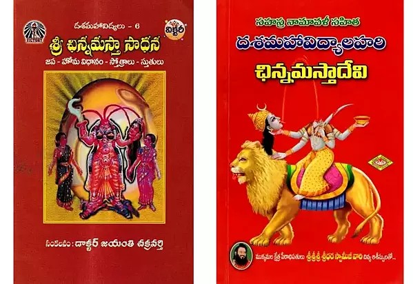 Two Books on Goddess Chinnamasta in Telugu