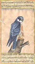Eagle