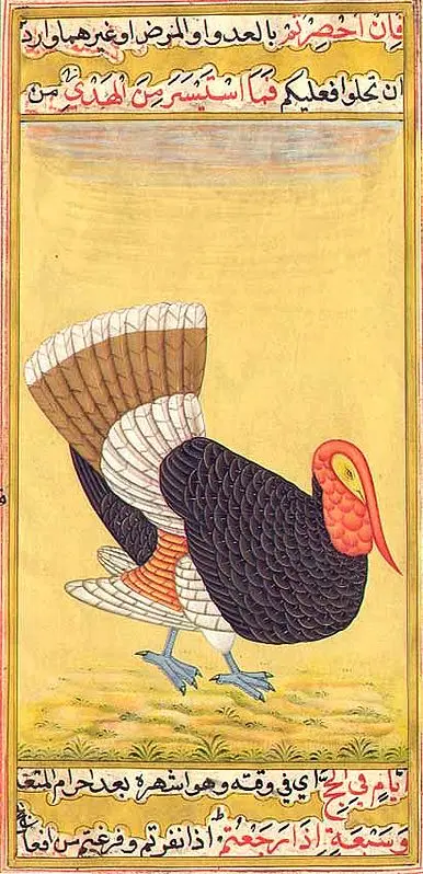Mansur's Turkey