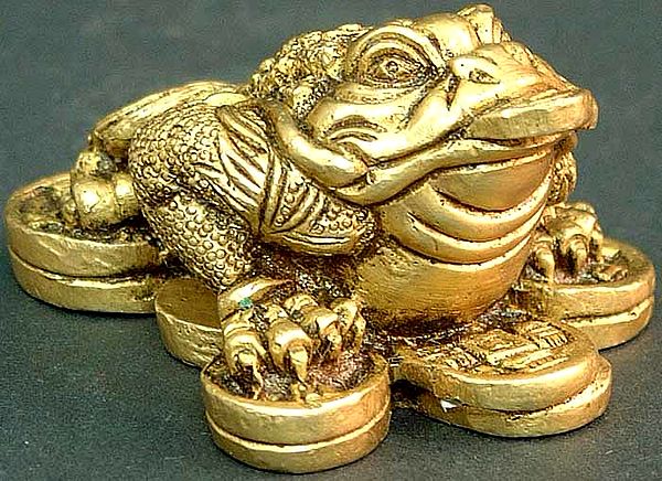 The Three-legged Toad