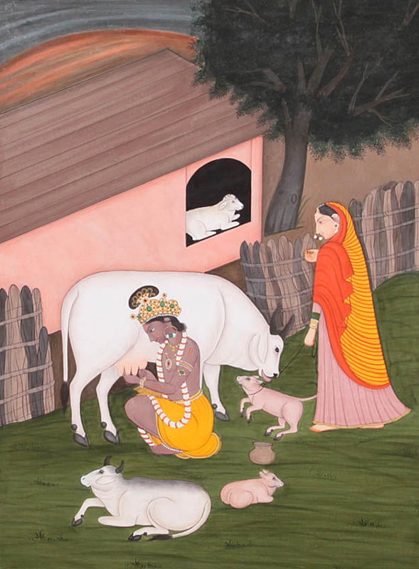 Shri Krishna Milking Cow