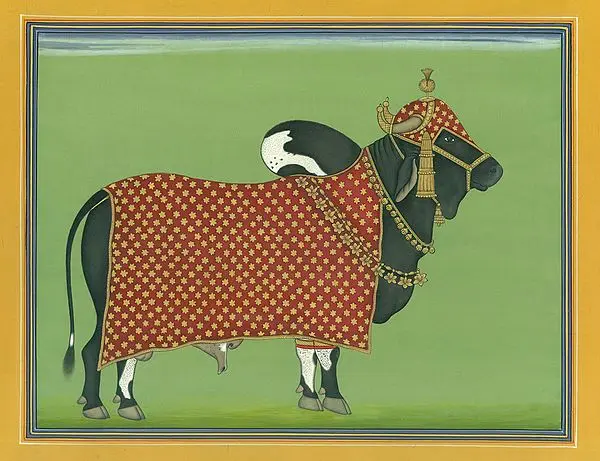 Shiva's Constant Companion