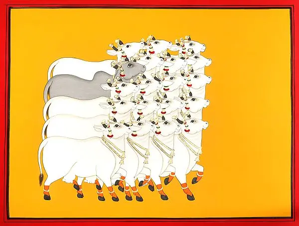 Herd of Cows