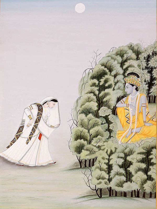 Radha Meets Krishna in the Grove of Vrindavan