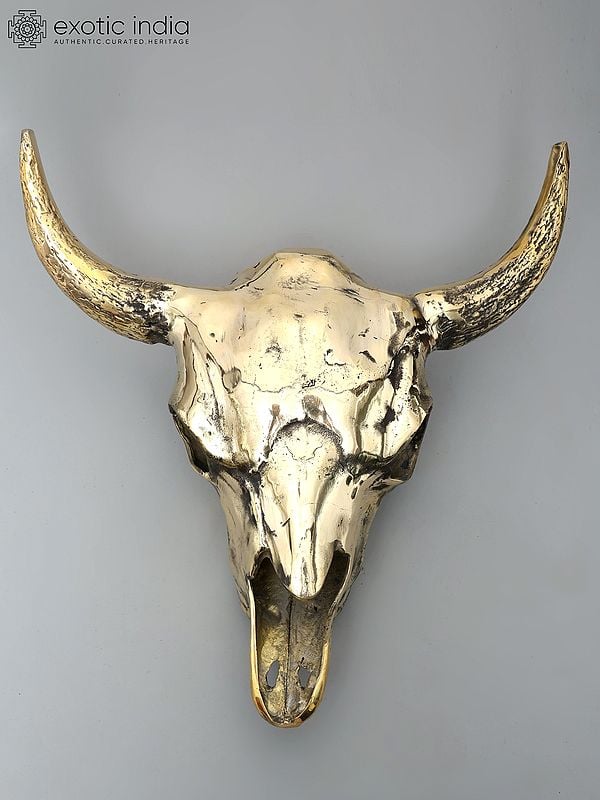 24" Brass Buffalo Skull | Wall Hanging | Home Decor