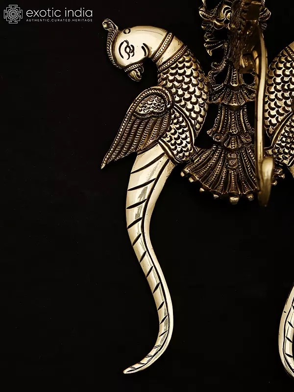 11" Parrot Design Wall Hanging Bracket in Brass