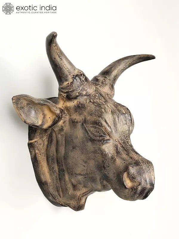 19" Brass Fighting Bull Head | Wall Hanging | Home Decor