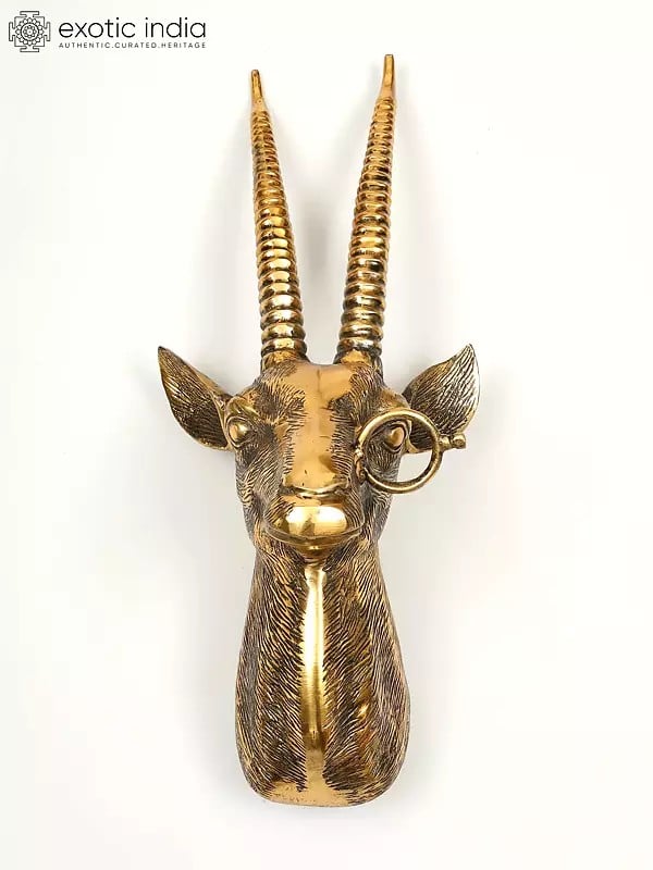 23" Brass Stylish Deer Head | Wall Hanging | Home Decor