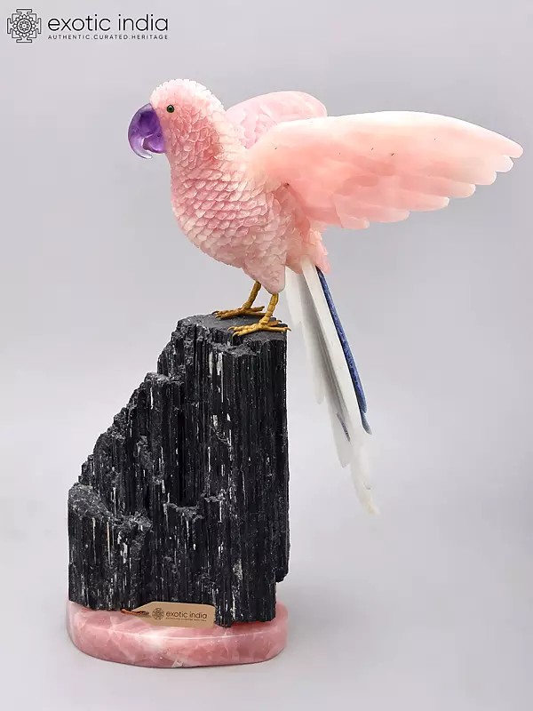 18" Handcarved Rose Quartz Parrot Sculpture on Black Tourmaline