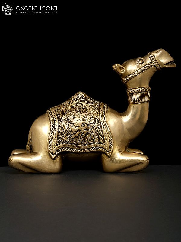 13" Sitting Camel | Decorative Brass Statue | Table Decor