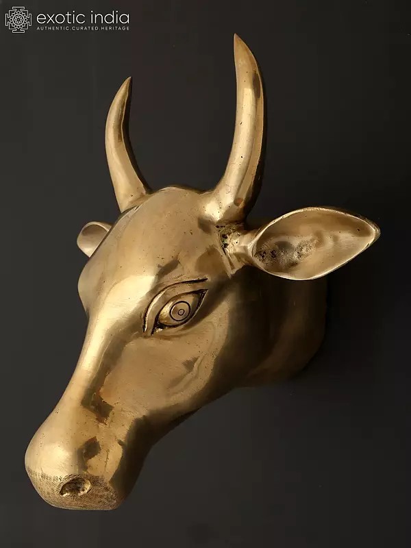 11" Wall Hanging Cow Head in Brass | Home Decor