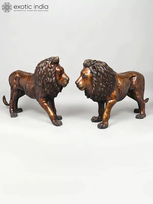 Large Size Pair of Lions