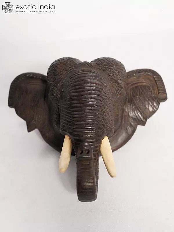 9" Wall Decor Elephant Head In Wood | Handmade Rosewood Figurine