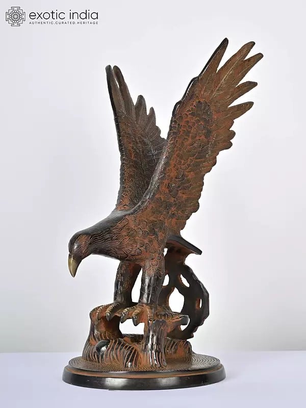 14" Brass Eagle Statue | Decorative Showpiece