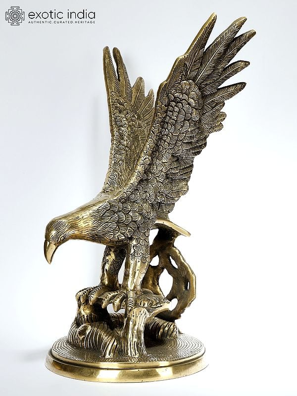 14" Brass Eagle Statue | Decorative Showpiece