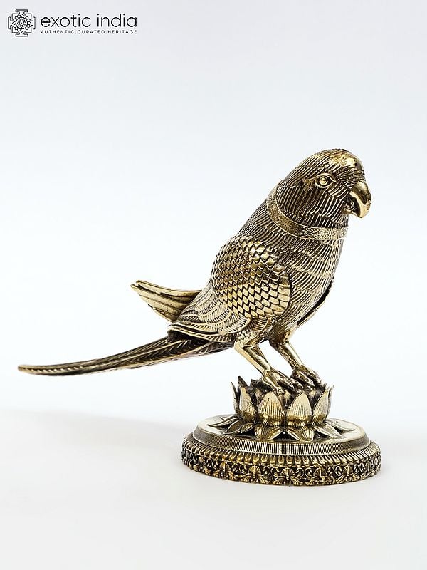 Superfine Decorative Parrot | Brass Statue | Table Decor