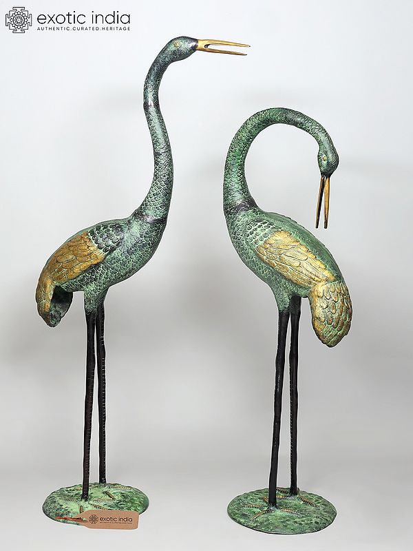 67" Large Size Graceful Pair of Cranes | Brass Statues | Home Decor