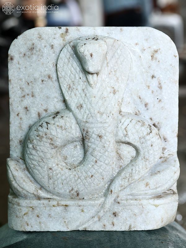 12" The King Cobra - Poisonous Snake | Modern Art Stone Sculpture | Exquisite Indian Art