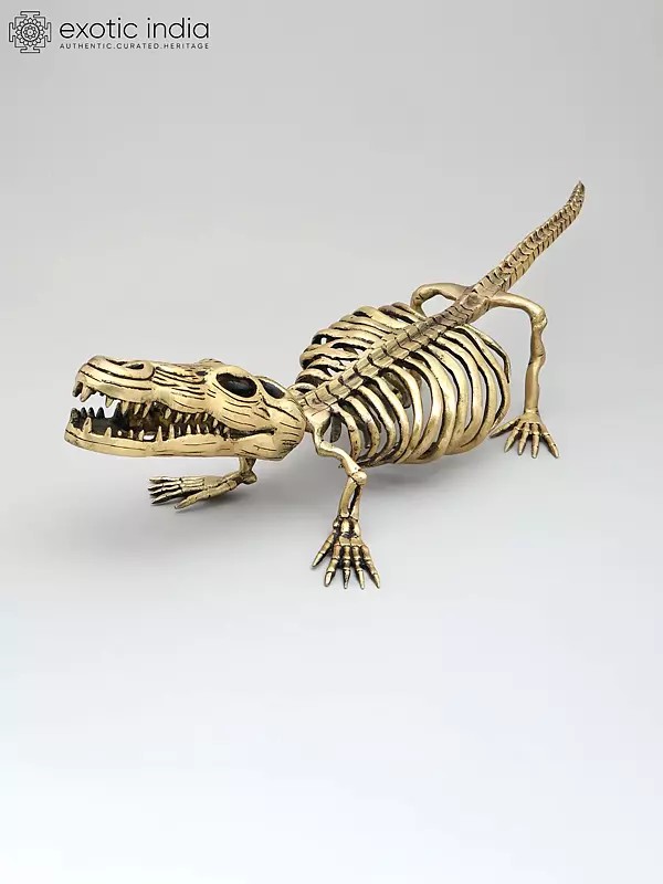 23" Crocodile Skeleton Decorative Showpiece | Collectible Item