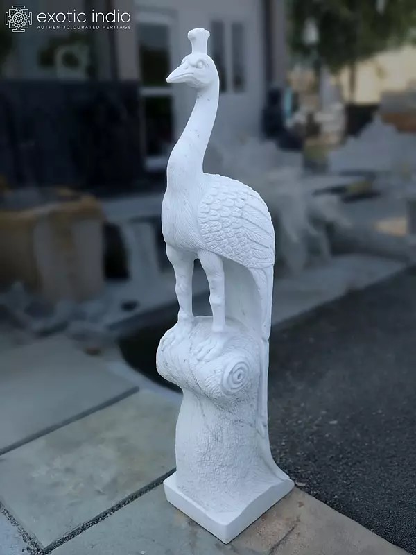 60" Peacock Standing on Pedestal Statue | Marble | Exquisite Indian Art