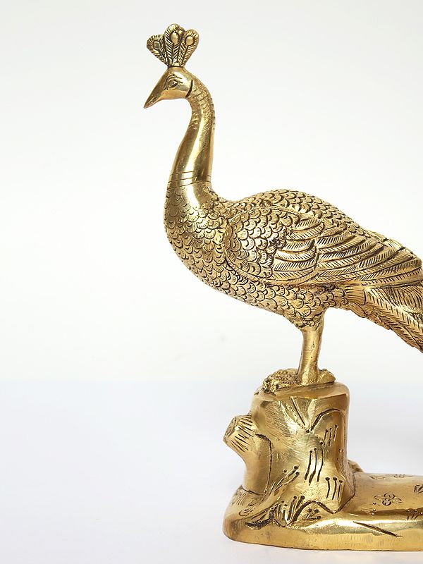Golden Brass Peacock Statues, For Decoration at Rs 850/kg in Aliganj