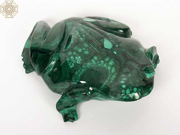 Malachite Frog Sculpture | Table Decorative Showpiece