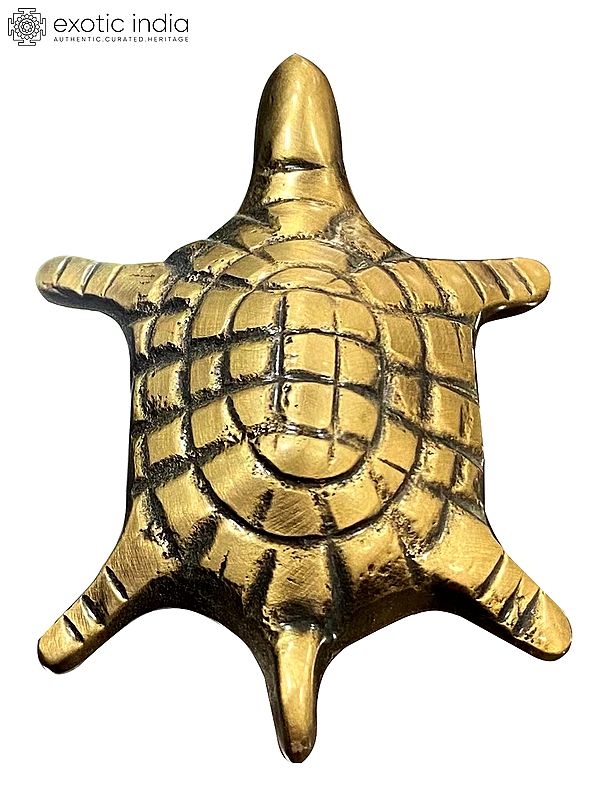 Brass Small Goodluck Turtle Door Knob