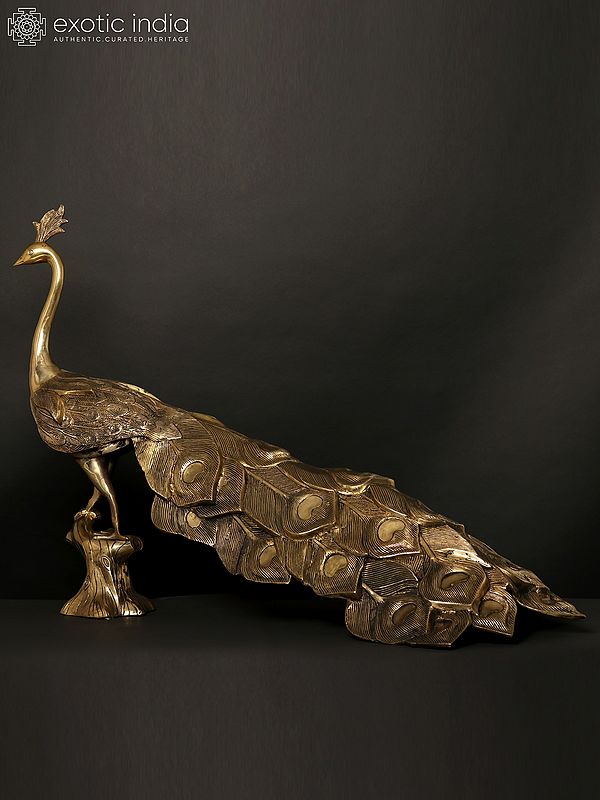 36" Large Peacock Figure in Brass