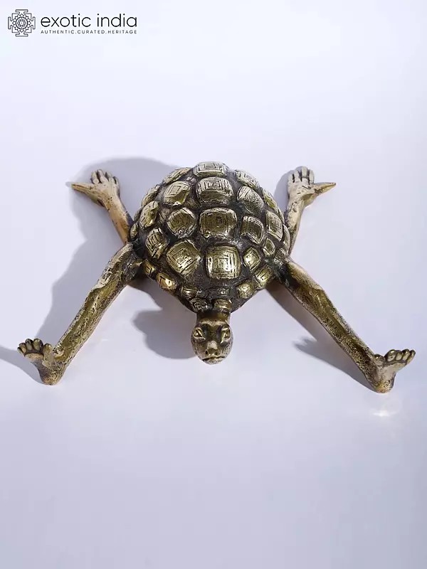 7" Tortoise with Outstretched Limbs | Brass Sculpture