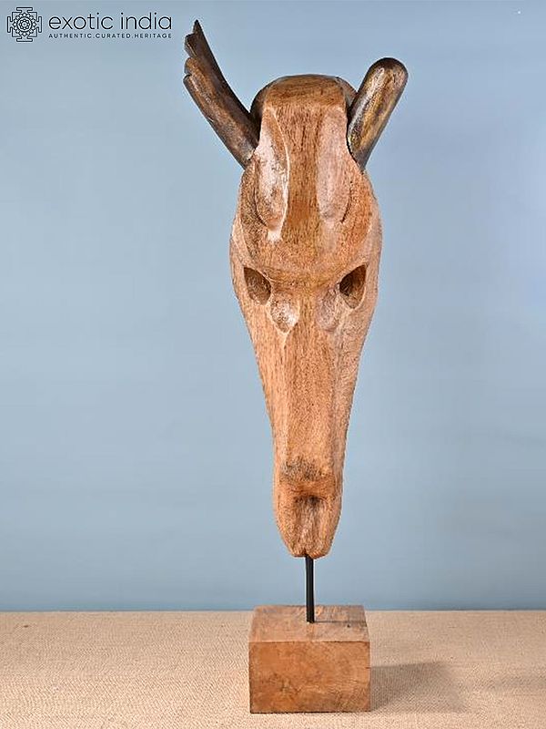 27" Decorative Skull Of Animal Face In Wood | Decorative Item