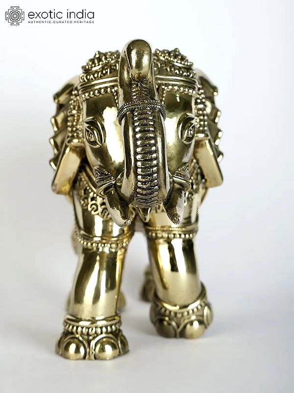 その他 PRE-ASSEMBLEDCOLLECTION BRAHMAN ELEPHAN その他 PRE