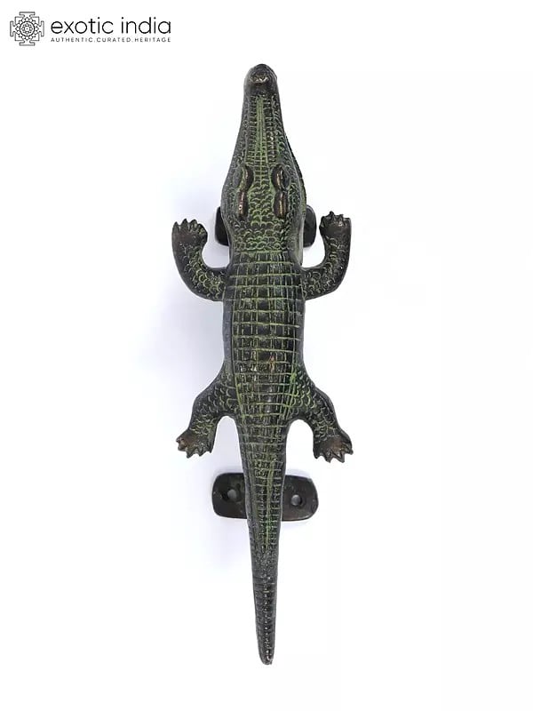 8" Crocodile Design Door Handle in Brass