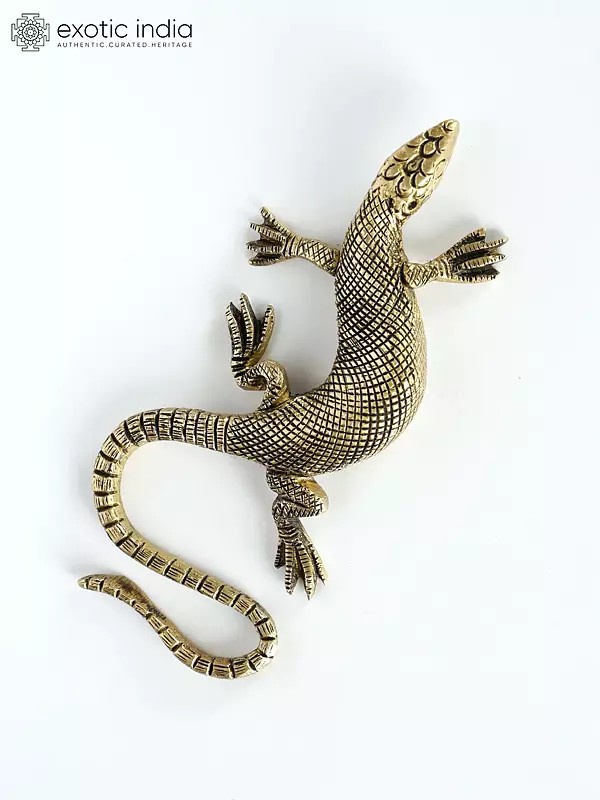5" Brass Realistic Lizard Figurine | Wall Hanging and Table Piece Both