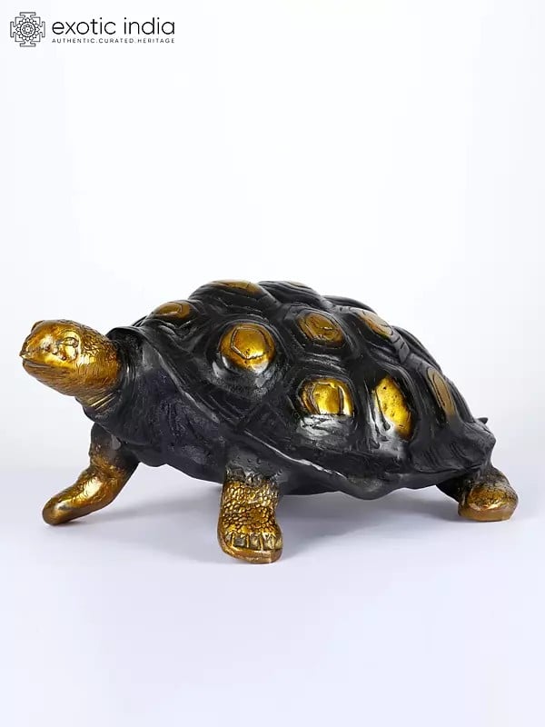 17" Brass Tortoise Statue | Table Decor