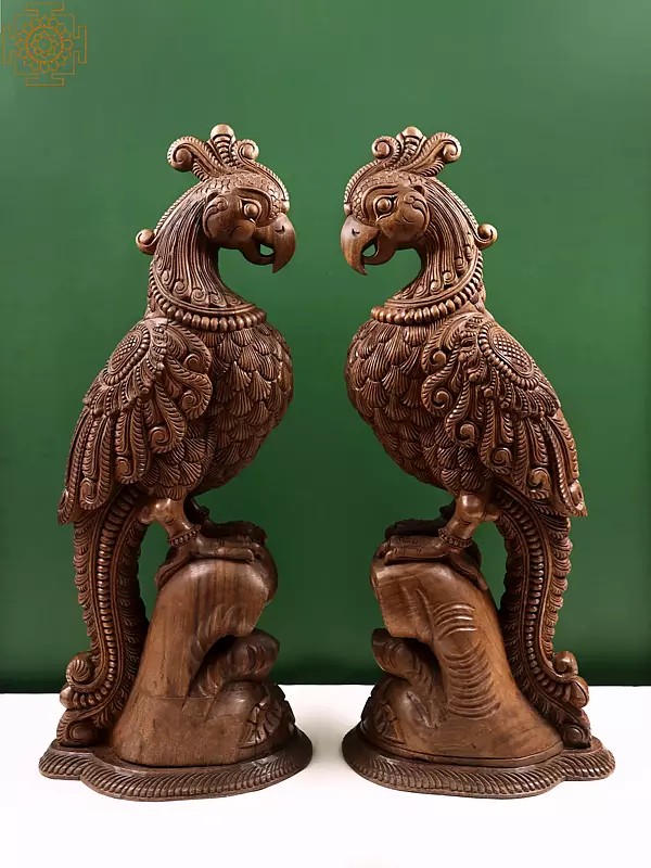 37" Large Wooden Parrot Figurine Pair
