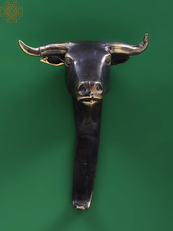 6" Small Brass Bull Head Wall Hook